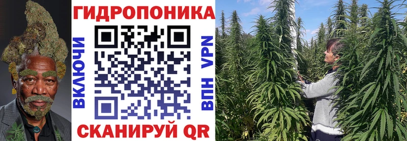сайты даркнета наркотические препараты  Котельниково  Конопля Amnesia 